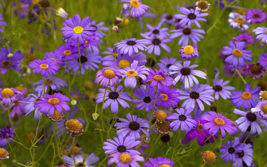 1695066 (a): :2880x1800
